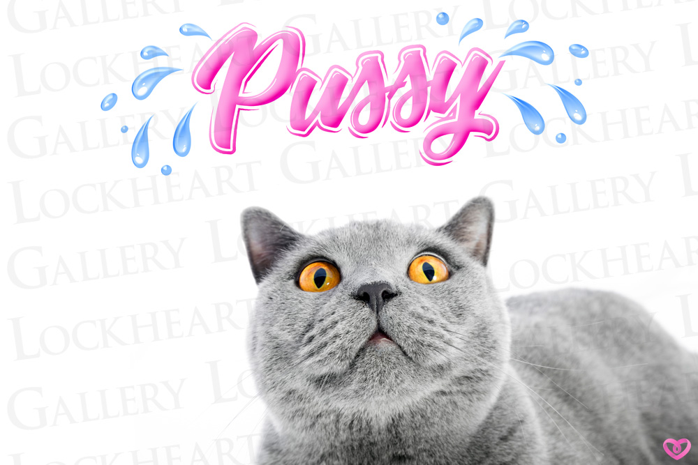 Pussycat 